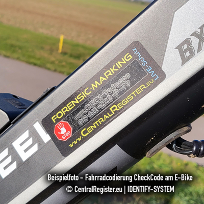 E-Bike CheckCodierung